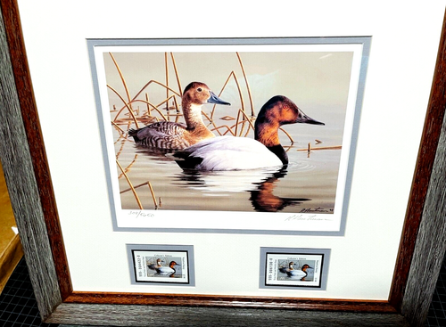 Stampa timbro Robert Hautman 1999 Texas Waterfowl Duck con doppi francobolli - incorniciato - Foto 2 di 5