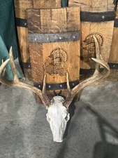 Rustic Barrel Custom Engraved European Deer Skull Mounting Plaques