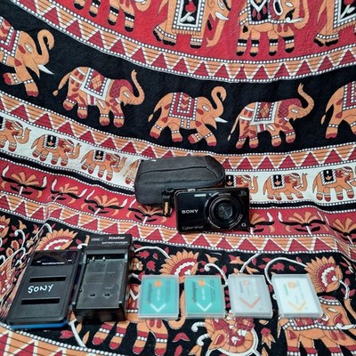 Sony Cyber-Shot DSC-WX220 18.2 MP 10x Opt Zoom Digital Camera and Accessories