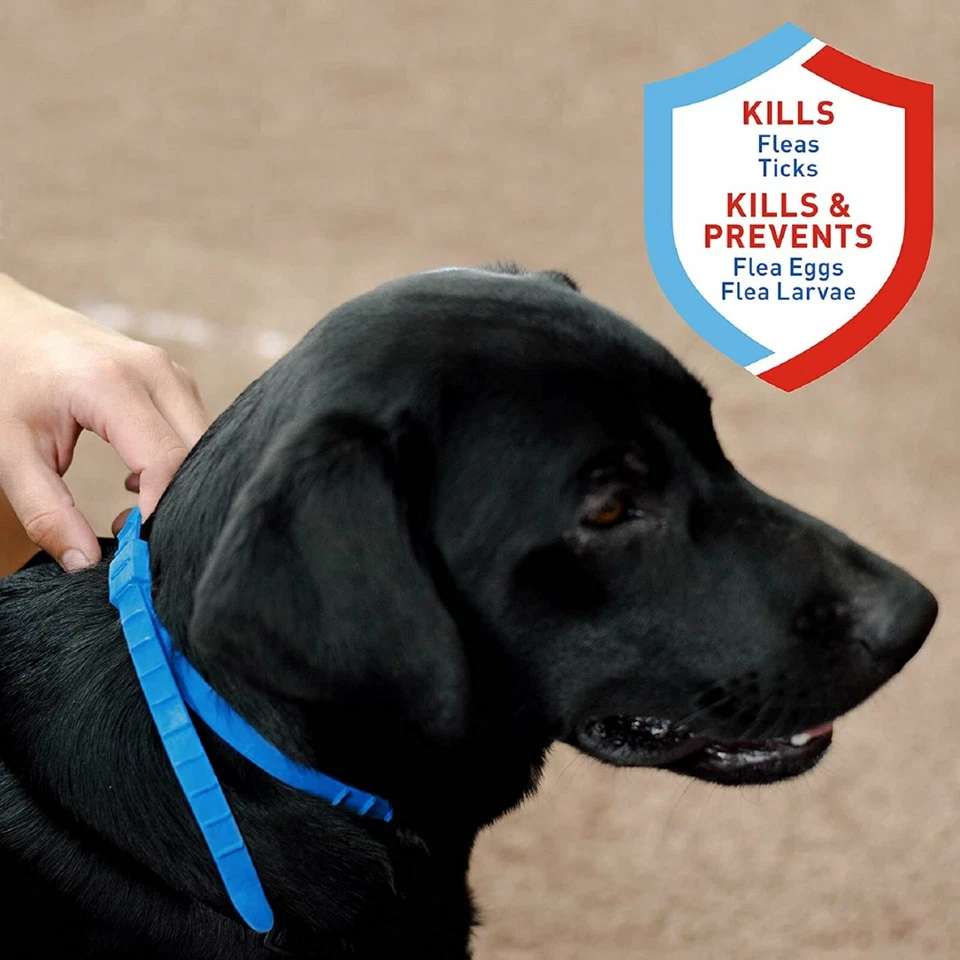 Collar Para Pulgas De Perros Antipulgas Y Garrapatas Proteccion Por 7 Meses - Image 3 of 4