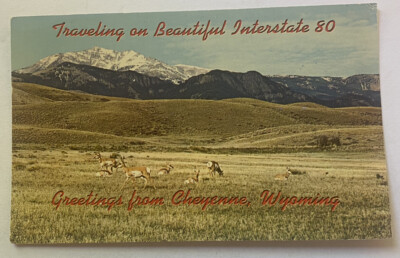 Vintage Postcard ~ Antelope Herd Along Interstate 80 I-80 ~ Cheyenne Wyoming WY