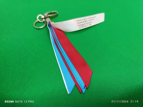 PORSCHE 70 Ans Officiel Marchandising Lille porte-clés Bleu Rouge Blanc - Photo 5/7
