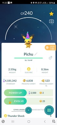 Pokémon Shiny Pichu ( Party Hat ) GO