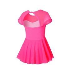 Short Sleeve Ballet Leotards for Girls - Hollow Back Dance Leotards with Skir...