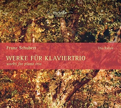 RAFALE TRIO - WORKS FOR PIANO TRIO - CD - G4z