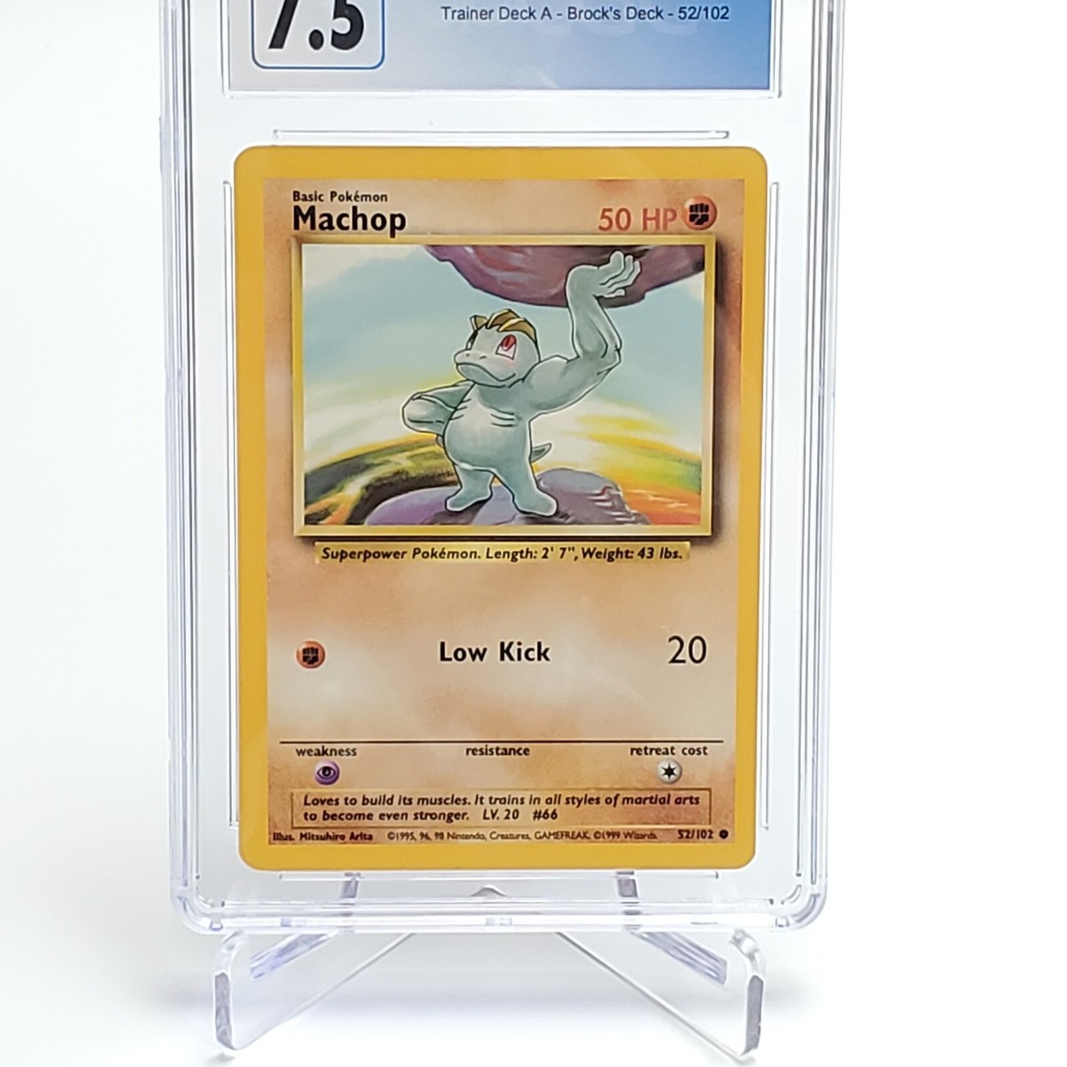 #ポケモン　Brockチーム　デッキ　英語版　未開封品 ポケモン Brockチーム デッキ 英語版 未開封品 ポケモン Brock