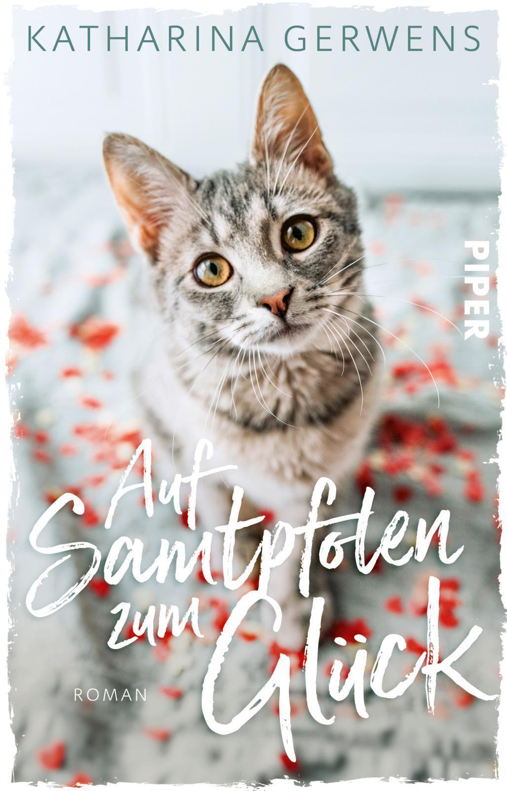 Thumbnail - Auf Samtpfoten Zum Glück | Roman | Katharina Gerwens | Taschenbuch |