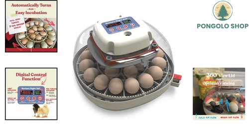 User-Friendly Egg Incubator for 12-22 Eggs – Humidity Control & Induced Airflow - Picture 2 of 11
