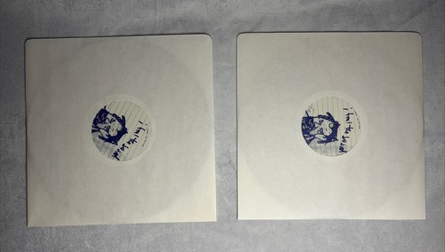 guillemots From the Cliffs 2x10” Vinyl - Picture 5 of 7