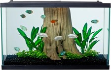 Tetra Glass Aquarium 29 Gallon Rectangular Fish Tank Clear Display Habitat Home