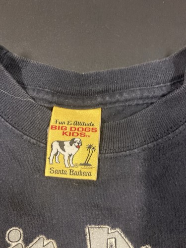 Vintage 2005 BIG DOGS Harry Potter (Hairy PAWTER) T-shirt YOUTH 8/10 - Picture 2 of 14