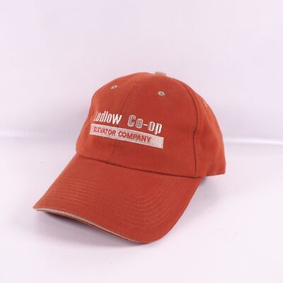 Ludlow Co-Op Elevator Company Strap Back Hat
