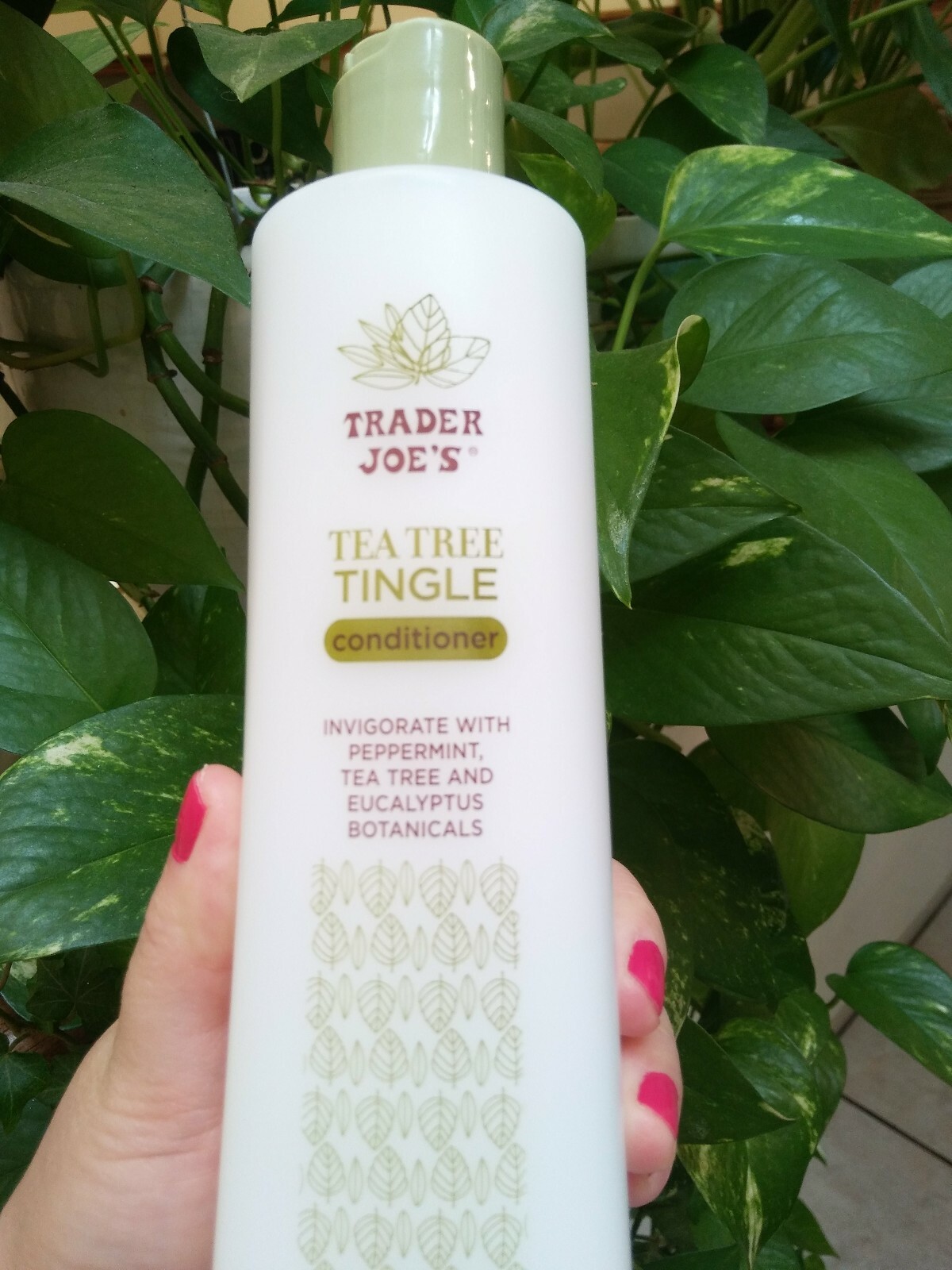 Trader Joe's Tea Tree Tingle Shampoo and Conditioner Pack, 16 oz