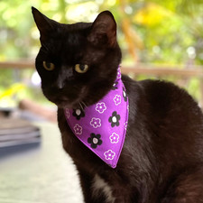 Cat Bandana Elasticised Purple Floral Print -Clothes Collar Sphynx Costume Scarf