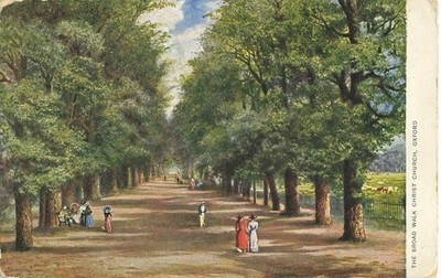 Broad Walk Christ Church Oxford UK Postcard 1908 Edwardian Tree-Lined Avenue