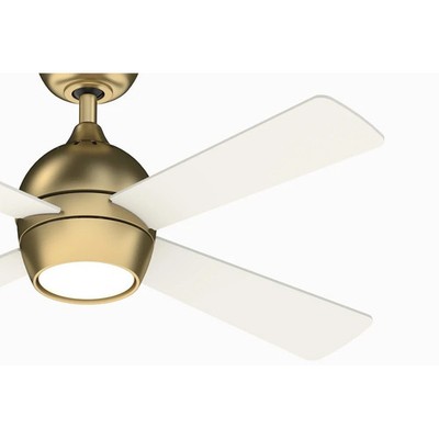 Fanimation Fans FP7644BS Kwad 44 Indoor Ceiling Fan Brushed Satin Brass