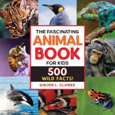 The Fascinating Animal Book for Kids: 500 Wild Facts! - Paperback - VERY GOOD