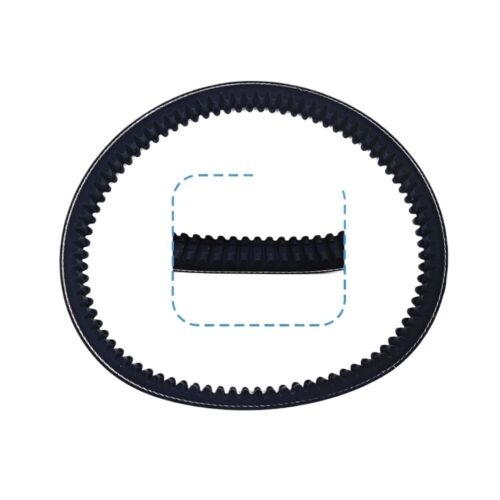 Drive Belt 926X29 For Codlice BD522183 EPCOUR043 Casalini M20 MGO1 MGO2 M8 F8C . - Picture 2 of 9
