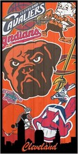 Cleveland Sports cornhole board vinyl wraps