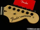USA Fender JIM ROOT Stratocaster Strat NECK & LOCKING TUNERS, Compound Ebony