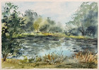 Original Watercolor Painting Landscape Nature Lake Pond Forest 5x7 inches