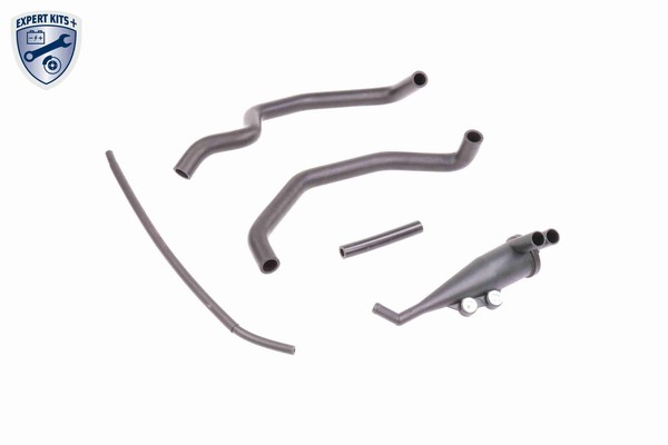 Neu - Vaico V20-0004 Reparatursatz, KurbelgehäUseentlüFtung FüR Bmw-image