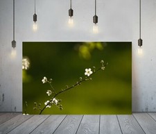 FLORAL BLOSSOM 7 -DEEP FRAMED CANVAS WALL ART PICTURE PAPER PRINT- GREEN WHITE