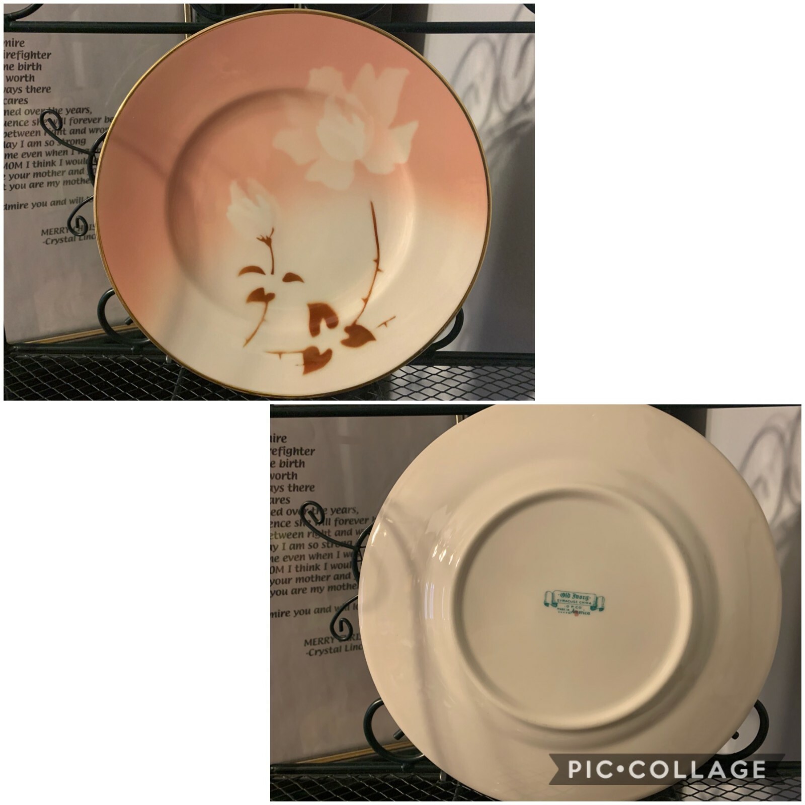 Picture 17 of 29