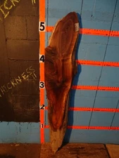 A1364    13/16" THICK  black walnut Live Edge Slab table shelf KILN DRIED
