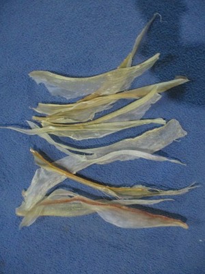 10 real deer back sinew  native thread bow backing sewing for beading Y3