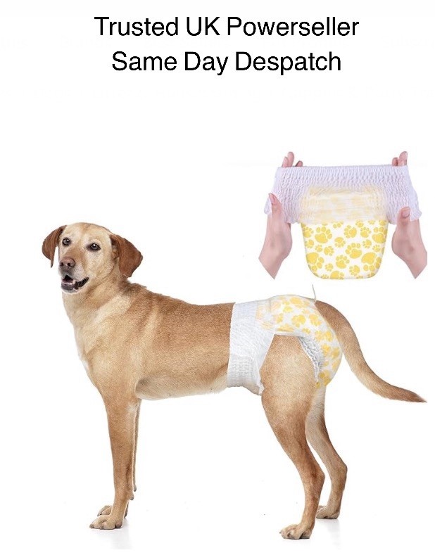 Dono Disposable Female Dog Diapers Large 6-9kg 10 Pack Leak Proof Wide Waistband