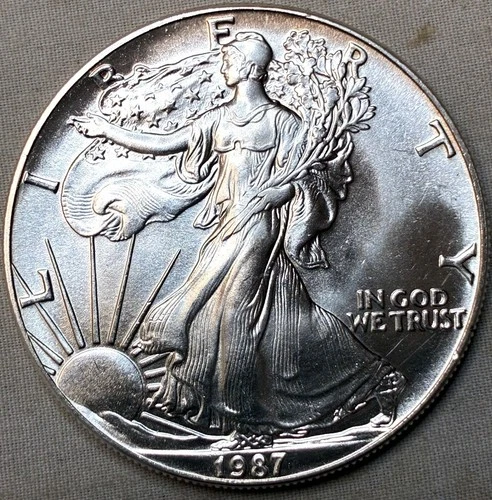 1987 American Silver Eagle Fine Silver Dollar Coin-Uncirculated in Capsule