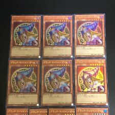 Dark Magician Girl Yu-Gi-Oh! TCG Secret Rare Individual Dark Magician Girl Yu-Gi-Oh! TCG Secret Rare Individual