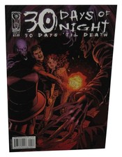 30 Days of Night 'Til Death (2009) IDW Comic Book #4 - (David Lapham Cover)