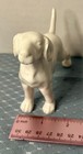 Vintage White Porcelain Dog Figurine 5" Sleek Gloss Blanc de Chine Hound Pointer — photo 3