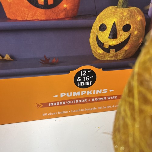 Hyde & EEK! Kürbis Halloween Licht Dekor Innen/Außen brauner Draht Lesebeschreibung - Bild 6 von 8