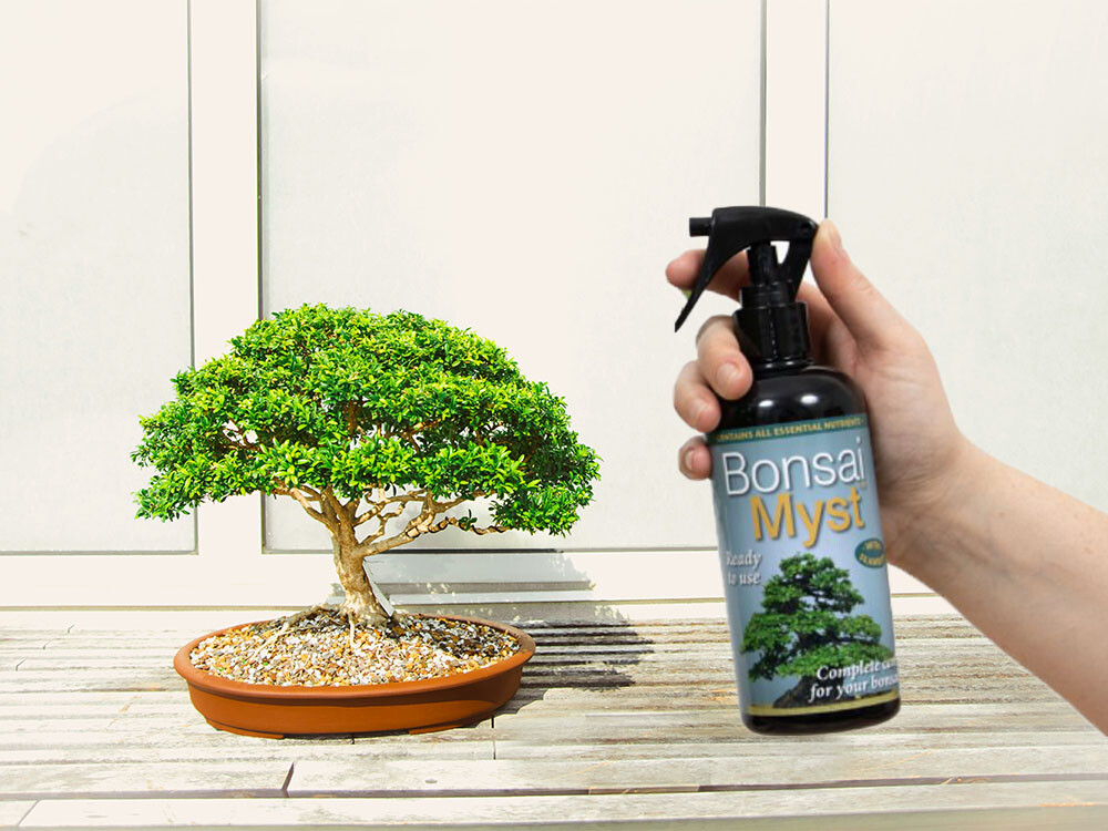 Growth Technology Bonsai Myst 300ml–Humidity & Nutrient Spray for Healthy Bonsai | eBay UK