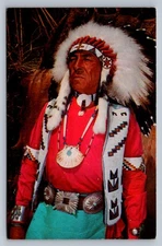 Postcard Native American Chief Native Plains-Style Dress Chrome Unposted  O956