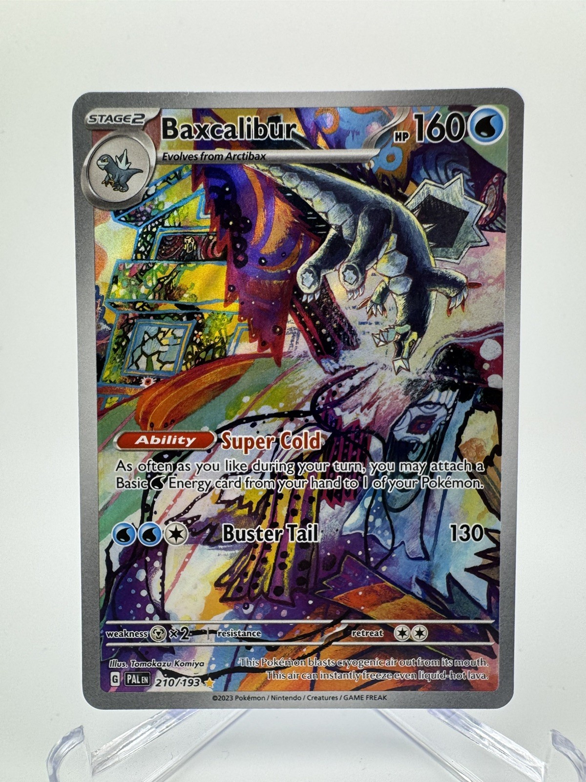 Morpeko Illustration Rare Paradox Rift 206/182 Pokemon NM Condition