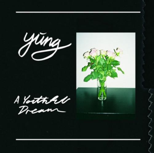 Альбом Yung A Youthful Dream (CD)