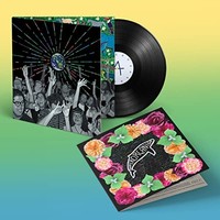 Superorganism - World Wide Pop - Vinyl Record 12 Record - F123Z