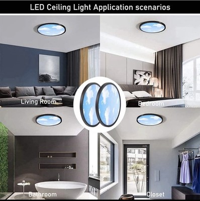 2 Pack LED Flush Mount Ceiling Light, Slim 12 Inch LED Ceiling Light Blue Sky