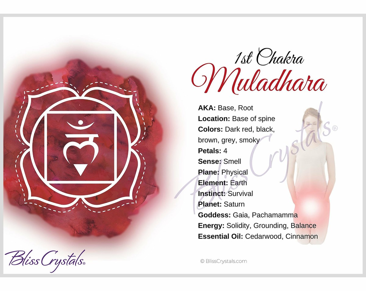 7 Chakra Information Card Set, Double sided, All 7 Chakra Cards