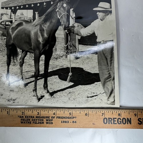 Original Foto Mann mit Pferd 8 x 10 schwarz-weiß glänzend Vintage Lot 2 - Bild 5 von 6