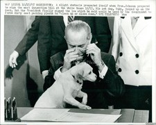 1967 Pres Johnsons Dog Yuki Jumps On Bill To Be Signed Animals Wirephoto 8X10