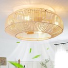 WDETR 20 in Indoor Caged Rattan Ceiling Fan With Light & Remote - Free Shipping