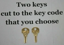 4201-4250 Pair of Keys For Craftsman tool box cut to your code. replacement key