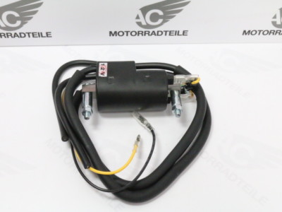 Suzuki GS 550 750 850 1000 Katana Zündspule 12 Volt 4,1 Ohm Reproduktion Japan