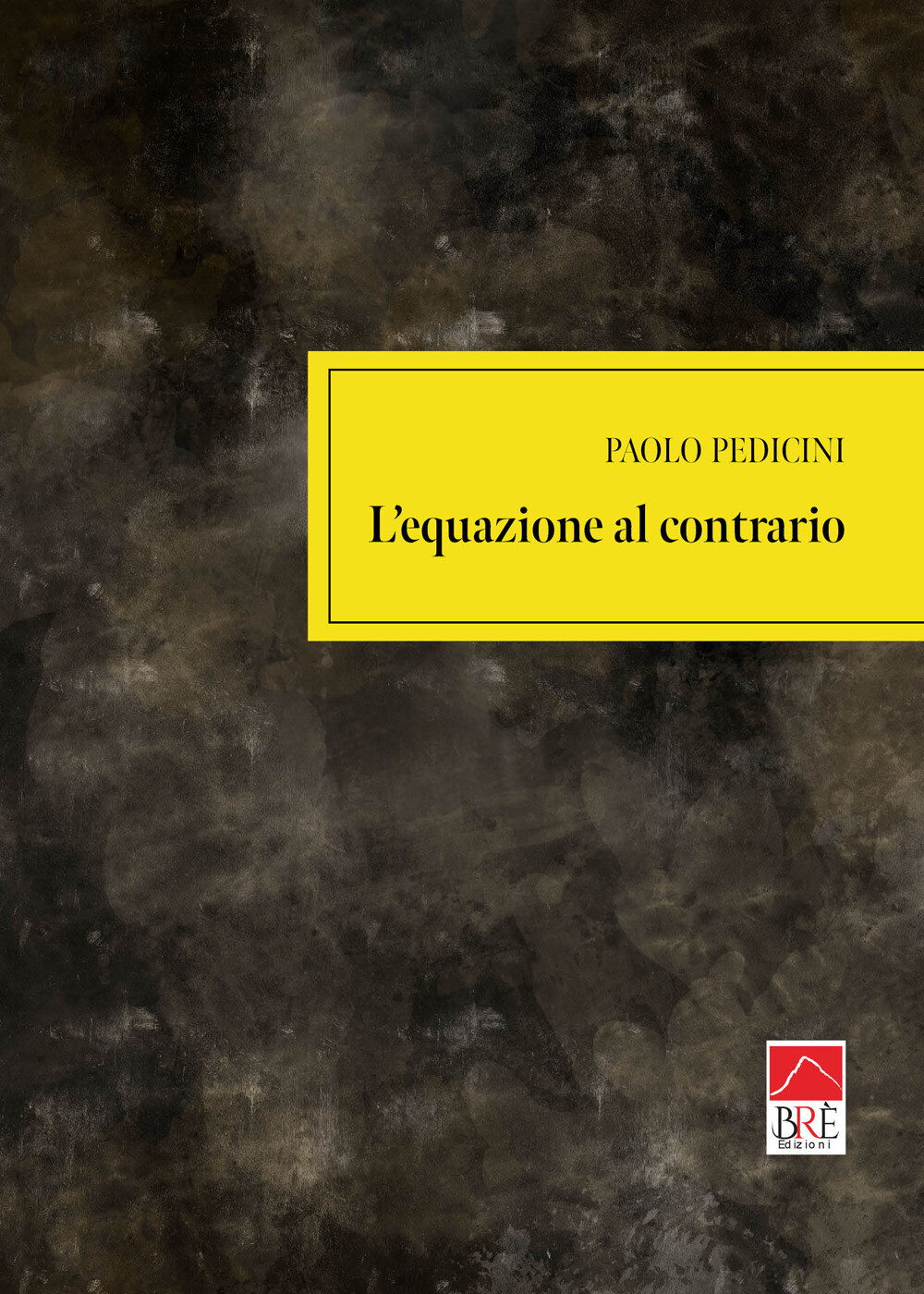 L'equazione al contrario - Pedicini Paolo