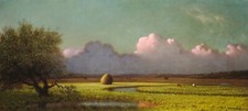Martin Johnson Heade - Sunlight and Shadow Giclee Fine Art Print on Canvas 48"